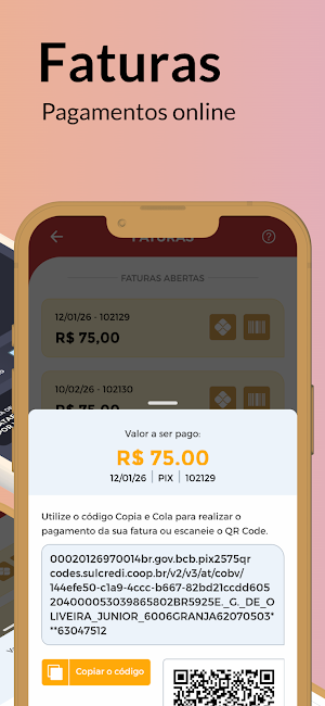 Flashnet Screenshot 2