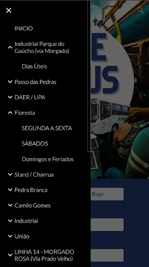BagéBus "Horário Ônibus Bagé" Screenshot 1