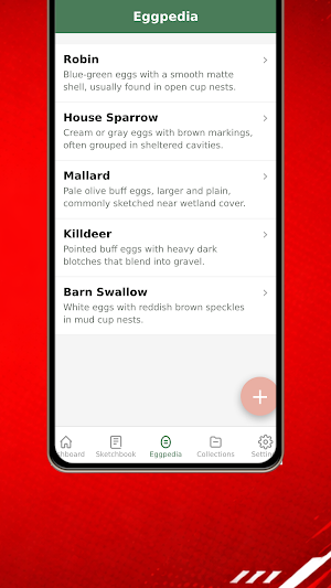 WinBet Screenshot 2
