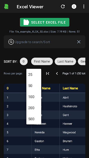 Excel Viewer Screenshot 2