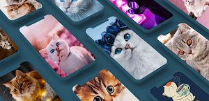 Cute Cat Wallpaper Offline HD Screenshot 0