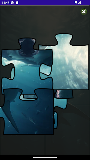 Jigsaw Puzzles Screenshot 1
