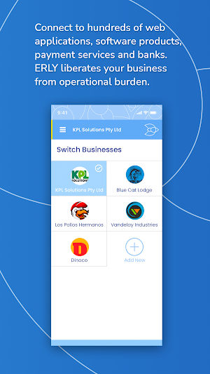 erly Accounting Screenshot 3