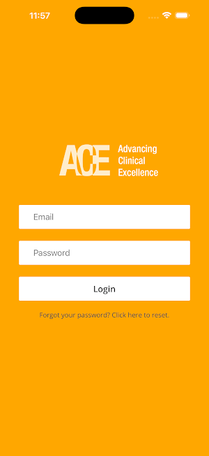 ACE Meeting Screenshot 0