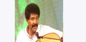 اغاني فيصل علوي بدون نت Screenshot 0