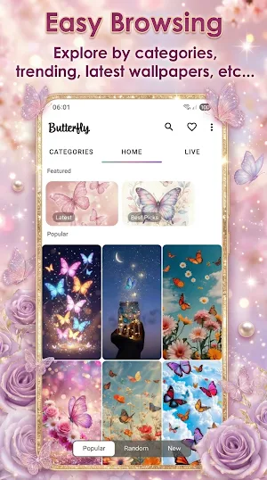 Live Butterfly Wallpapers - 4K Screenshot 3