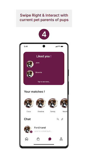 Mylopaws Screenshot 3