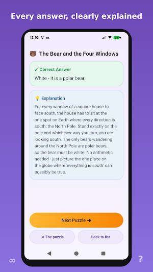 Riddlogic: Brain Teasers Screenshot 2