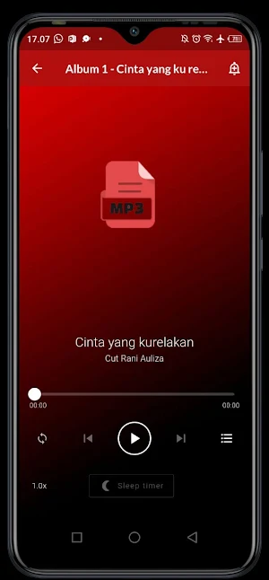 Kumpulan Lagu Cut Rani Pilihan Screenshot 3