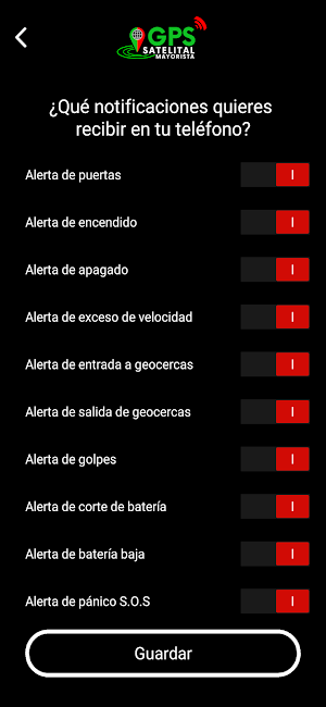 GPS Satelital Mayorista Screenshot 3