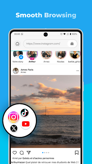 Pure Browser Screenshot 2