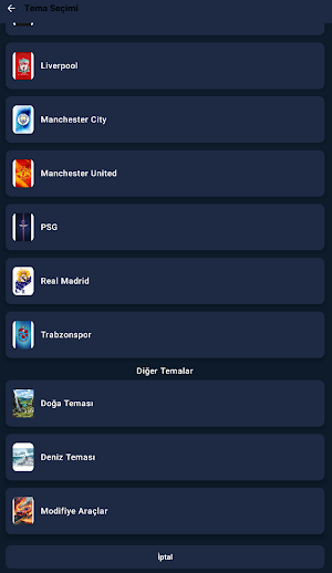 NetPlayer Screenshot 3