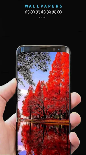 wallpapers.for Iphone.wallway Screenshot 2