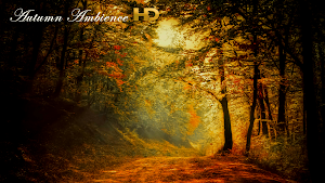 Autumn Ambience HD IAP Screenshot 0