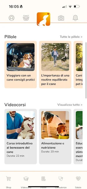 Teradog Screenshot 2