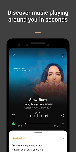 SoundHound - Music Discovery & Lyrics Screenshot 0