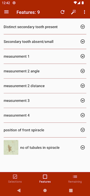 Key important fruit fly larvae Screenshot 2