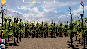 Walla Walla Corn Maze Year 3 ( Screenshot 1