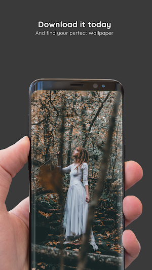 Autumn Wallpapers 8K ULTRA Screenshot 0