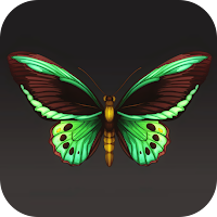 Butterfly Wallpaper 2024