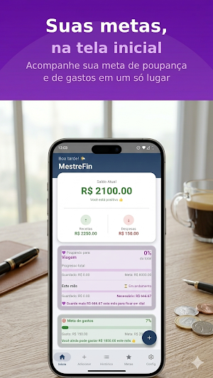 MestreFin Screenshot 2