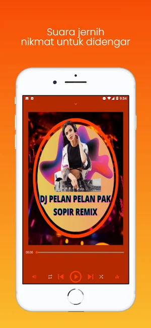 DJ Pelan Pelan Pak Sopir Remix Screenshot 2