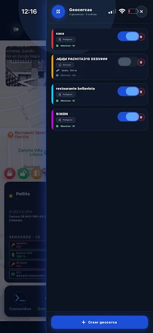 GLOBAL UBICAR GPS 360 Screenshot 2