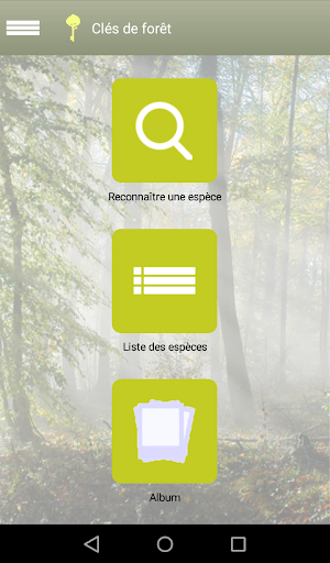 Clés de forêt Screenshot 0