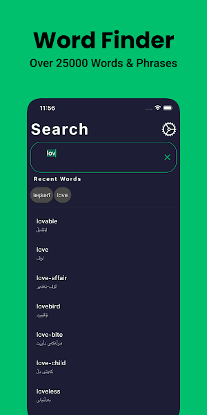Kurdish Dictionary English Screenshot 2