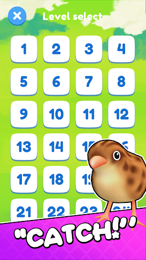 Match Catch Screenshot 3