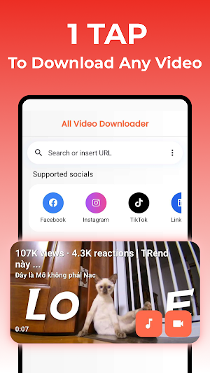 Videra: All Video Downloader Screenshot 0