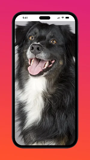 Animal Wallpapers Screenshot 2
