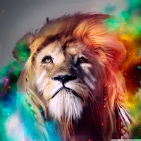 Lion Wallpapers 2022
