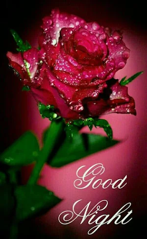 Good Night Sweet Dreams GIF Screenshot 1