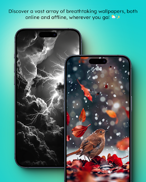 Weather Wallpaper HD Screenshot 3