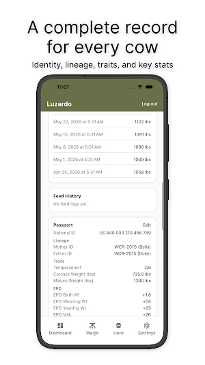 Luzardo Screenshot 3