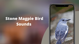 Magpie Sounds - Hunting calls Screenshot 0