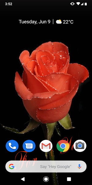 Rose GIF Live Wallpaper Screenshot 0