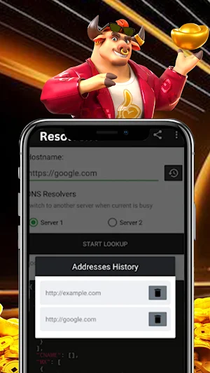 ResolverX Screenshot 3