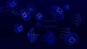 Fish Farm 3 - 3D Aquarium Simulator Screenshot 3