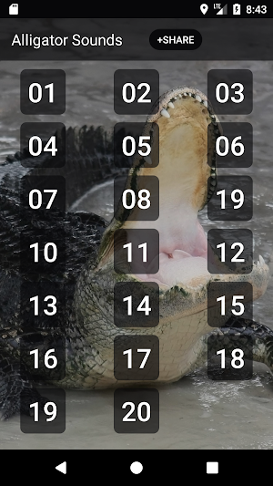 Alligator sounds Screenshot 0