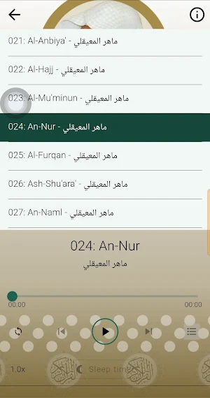 ماهر المعيقلي القران الكريم Screenshot 2