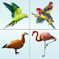 Bird Memory Matching Game