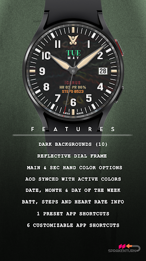 Icarus Watch Face Screenshot 3