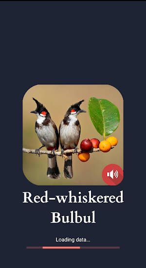 Red-whiskered Bulbul Sounds Screenshot 0