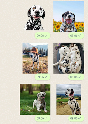 Dalmatian Dog Stickers Screenshot 2