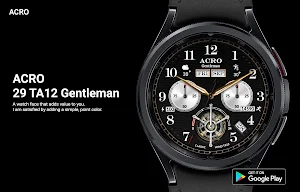 ACRO 29 Classic wind TA12Watch Screenshot 2