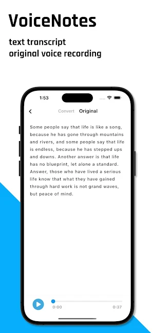 VoiceNotes - AI Voice Record Screenshot 2