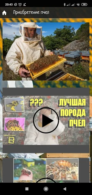 Свой мёд! - Инструкция для начинающего пчеловода. Screenshot 2
