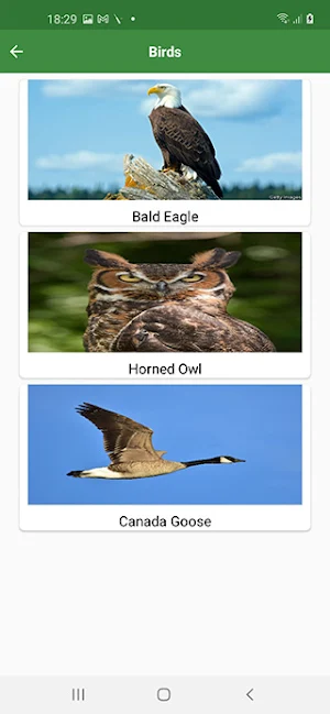 WorldCritters Screenshot 2